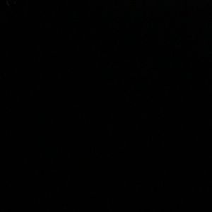 Meet your Posher, Raven